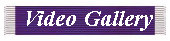 moph_first002006.jpg