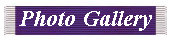 moph_first002007.jpg
